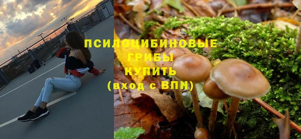 мдпв Архангельск